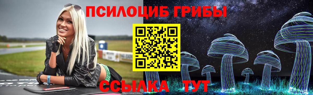 Галлюциногенные грибы Psilocybine cubensis Ржев