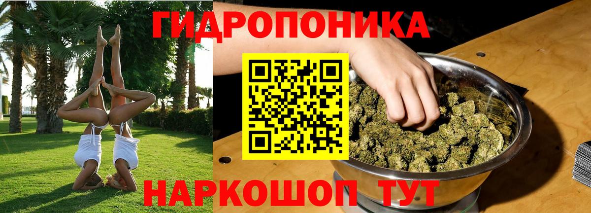 Шишки марихуана VHQ  Шишки марихуана THC 21%  Ржев  Канабис семена  Шишки марихуана конопля  Вход с VPN 
